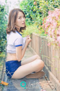 美人龙汤